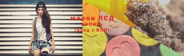 молекула духа Арсеньев