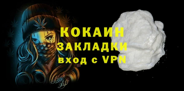 молекула духа Арсеньев