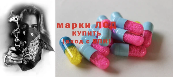 молекула духа Арсеньев