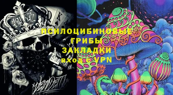 молекула духа Арсеньев