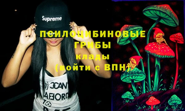 молекула духа Арсеньев