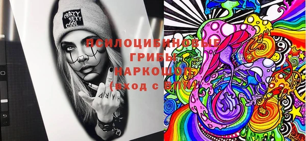 молекула духа Арсеньев
