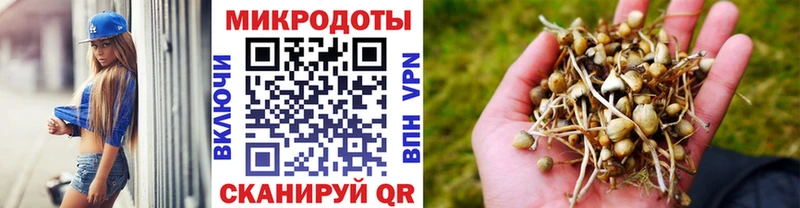 Галлюциногенные грибы Psilocybine cubensis  hydra tor  Верея 